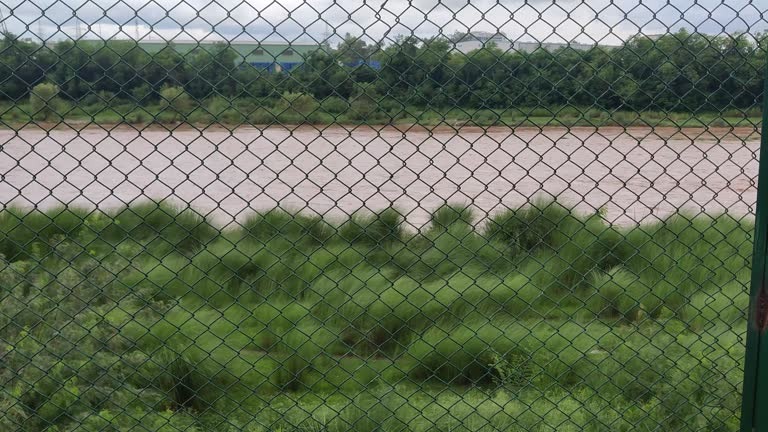 Unterschiede bei Zaeune und welche Variante sich lohnt